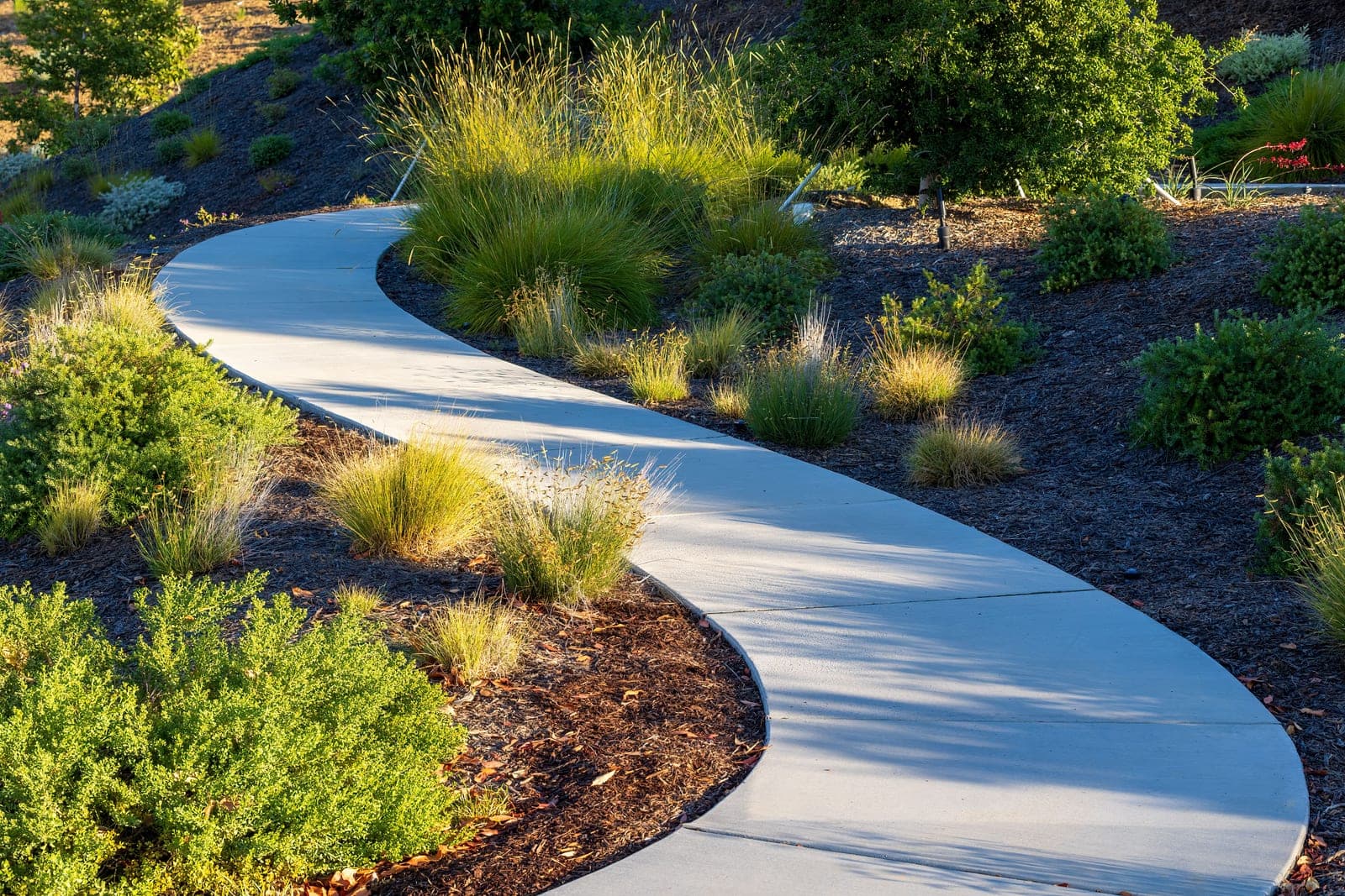 A finished concrete walkway running between planted beds.