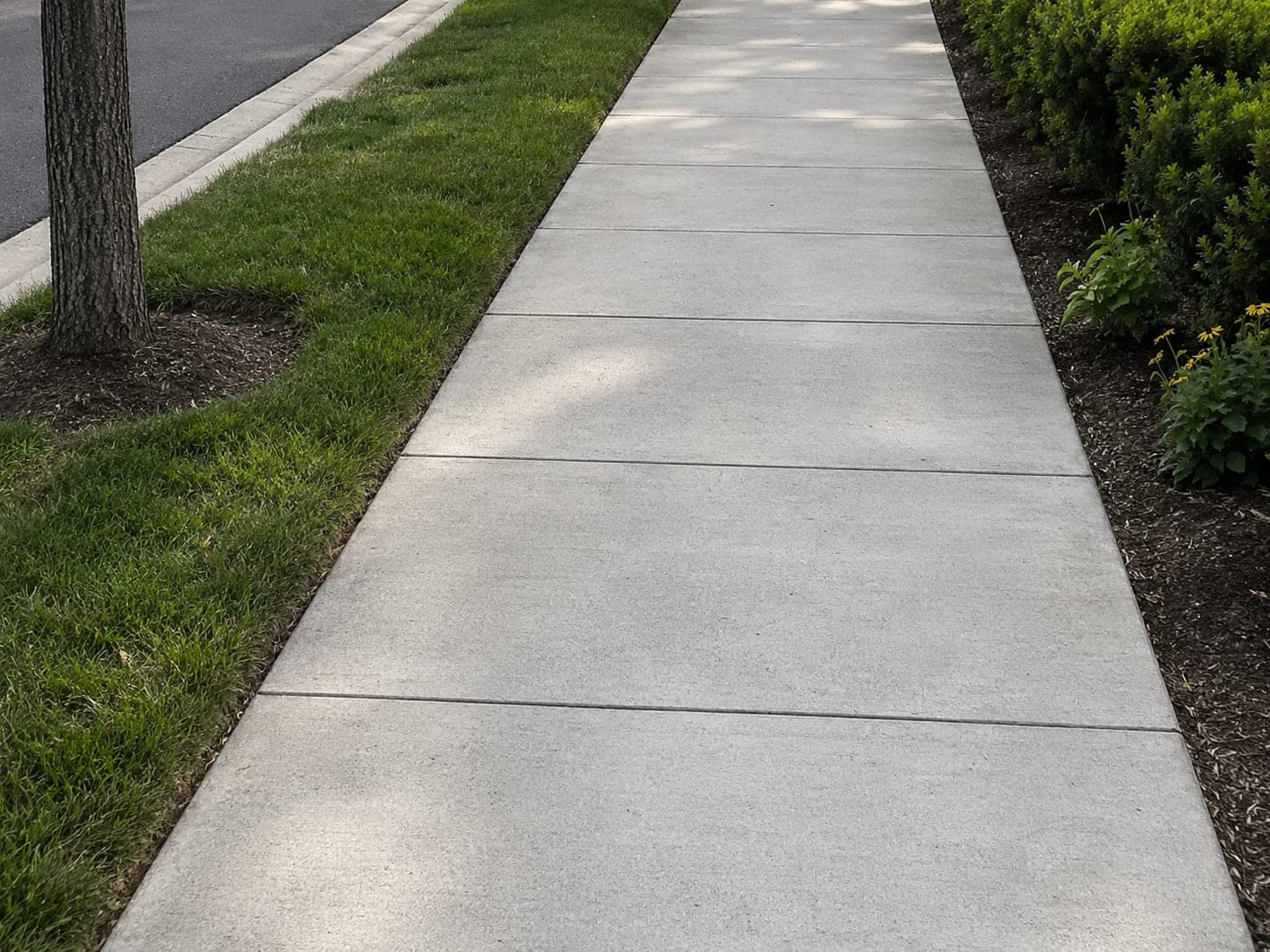 A finished concrete walkway running between planted beds.